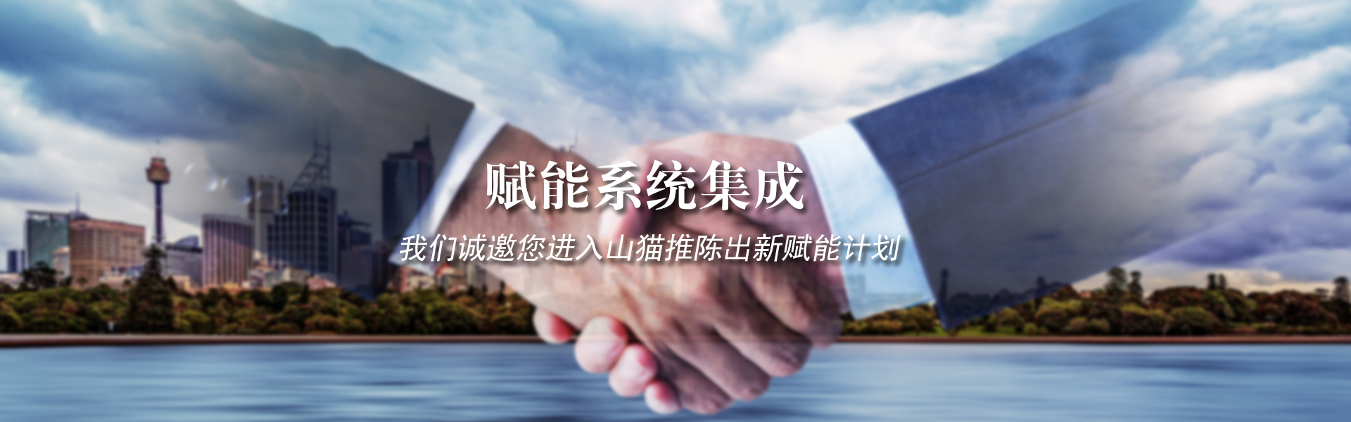 代理合作