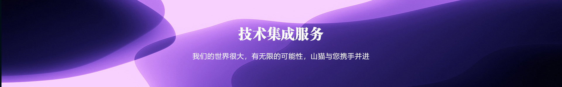 技术服务